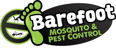 Barefoot Mosquito cover